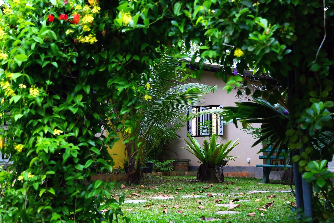 Coconut Villa Мидигама-Ист Экстерьер фото
