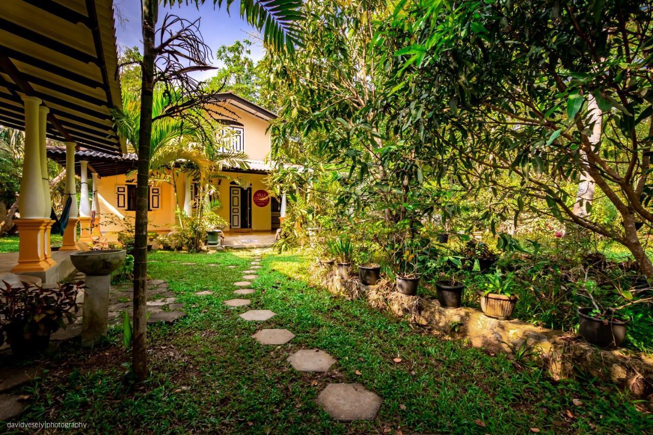 Coconut Villa Мидигама-Ист Экстерьер фото